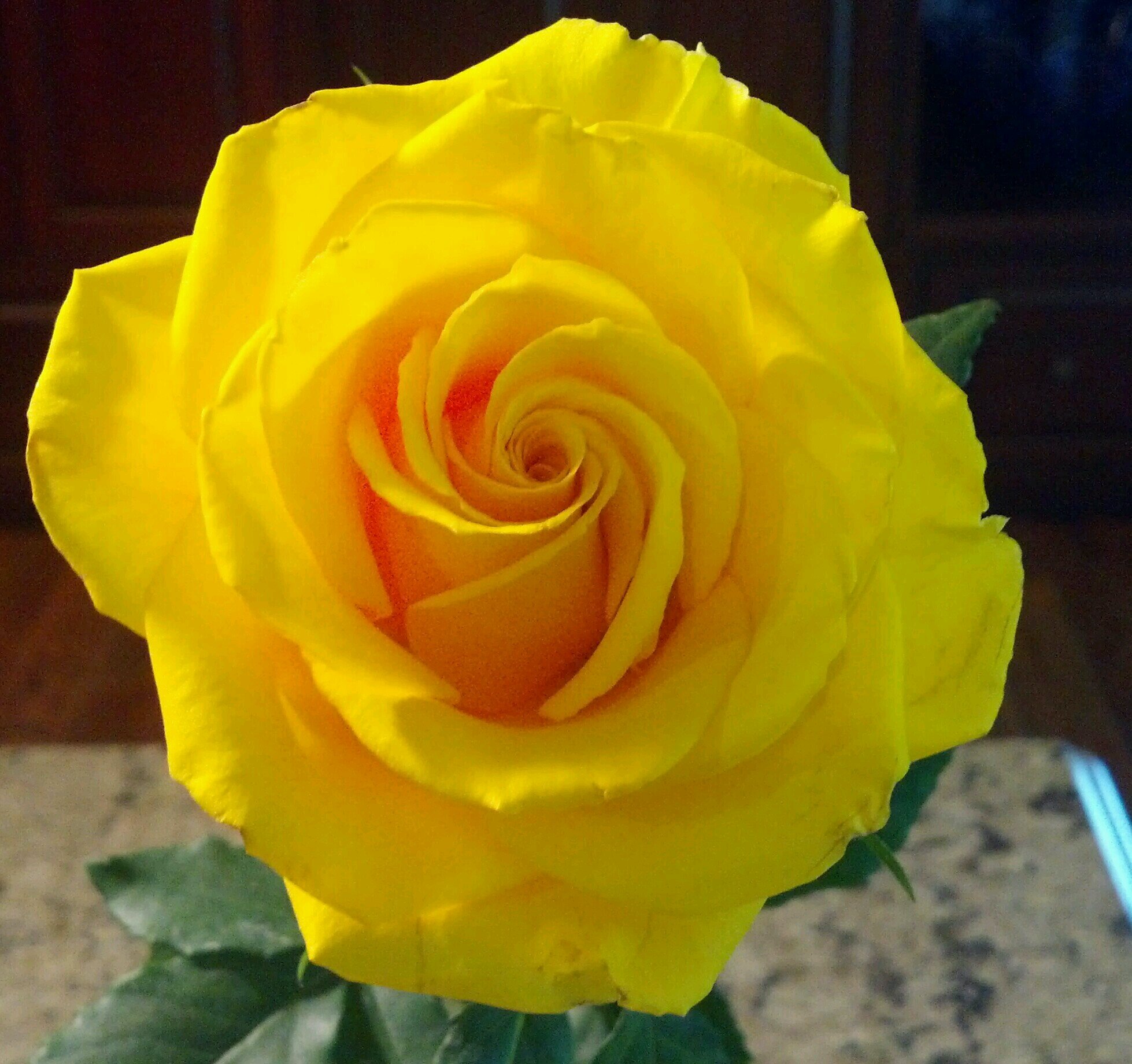 DebbyCrater's profile picture. 