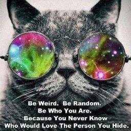 Styxman500's profile picture. Bollocks!!!!