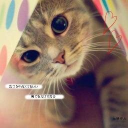 猫、なにわ男子、Snow Man 好きです💗出演情報＆雑誌情報を毎日更新中！楽天アフィリエイト、Amazonアソシエイト参加中🐈