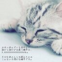クボモンww (@11Krpk) Twitter