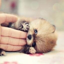 Every dream can come true, just simply believe.