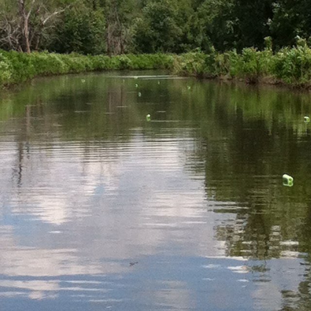 MarkMarkdry's profile picture. 