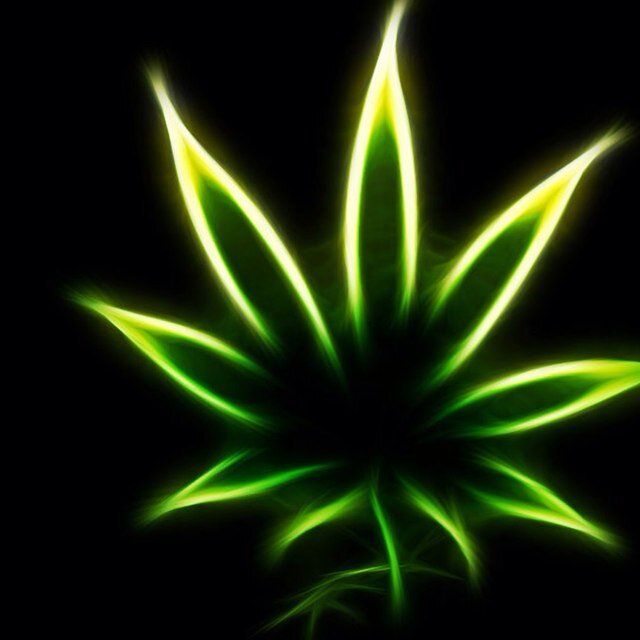marijuana and other drug related tweets |
dimethyltripwithme | monologue:  a prolonged talk or discourse by a single speaker