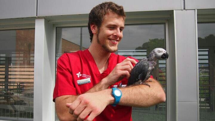 Veterinari tortosí vivint a Mataró #ViatgeaÍtaca #LoRiuÉsVida Penso, per tant, opino, per tant, piulo