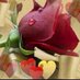 بدر الصاعدي (@badr_alsaedi) Twitter profile photo