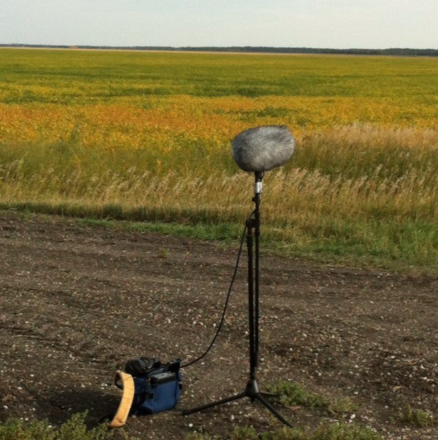 Audio Director in the Video Game Industry. Sound Recordist. Hockey Fan. Golf Nerd. Opinions are my own.