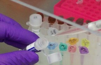 Virologist, DVM, MSc, PhD 👨🏽🔬
ADU @aduveteriner, Ankara University @auvft_1842
VR in @UniJena