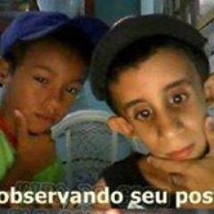 verdades sobre os habitantes de araucária