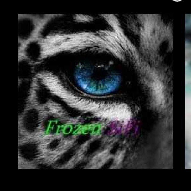 FrozenSiFi's profile picture. FrozenSiFi Clan message me NinJAxxKilla
MLG Clan Youtube account FrozenSiFiRussia