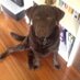 TimTam (@chocolatetimtam) Twitter profile photo TimTam (@chocolatetimtam) Twitter profile photo