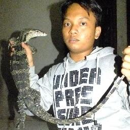 reptile infection !!