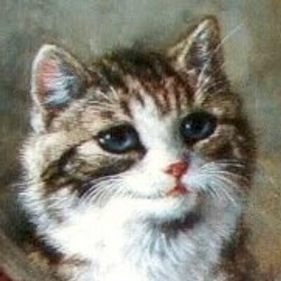 507493 人理修復をした監督生 On Twitter 岩合光昭の世界ネコ歩き選 今日はペルー の回 カラフルな飾りを身につけたふわふわヤギが子猫の毛繕いして絵本の世界のよう 平和とはこういうことだよねえ 昇天した