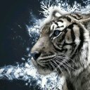 منحرف (@0566964378) Twitter