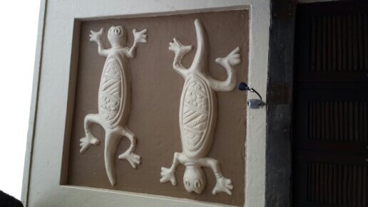 Durbankiekies's profile picture. 