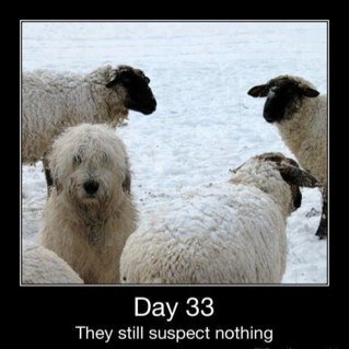 “Integrity has no need of rules.” ― Albert Camus