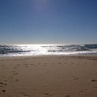 Ana Sánchez (@achanchezj) 's Twitter Profile