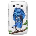 Fran Delaney - @Fran_Delaney - Twitter