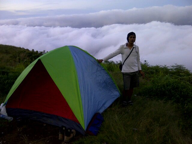 Borla