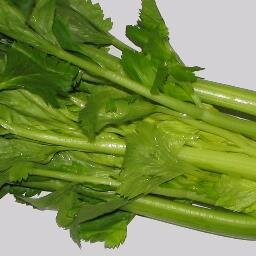 I love celery, therefore I am celery.
