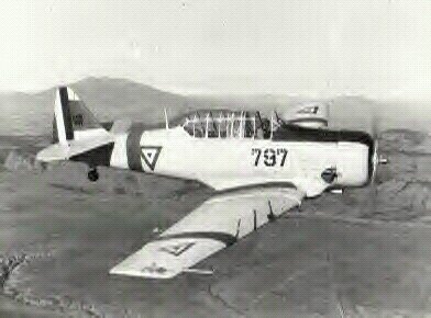 josvarasyvaldes's profile picture. Ni nos domaron, ni nos doblaron, ni nos van a domesticar.