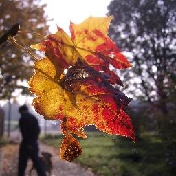redbricksonline's profile picture. The Redbricks housing estate AKA Bentley House, Hulme, Manchester. Hear updates/get involved in community activity.