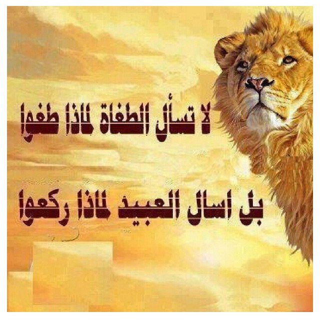 اللهم انصر اخوننا في كل مكان