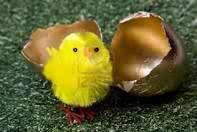 onesugo's profile picture. squeamish