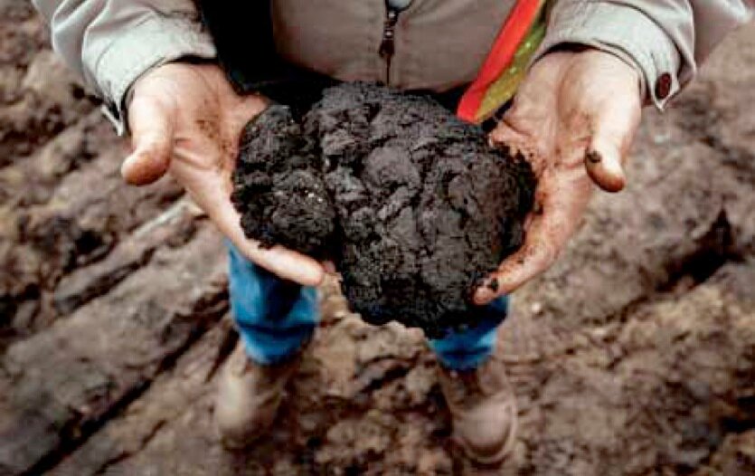 Tweeting TransCanada Bitumen East Oil Pipeline Developments #OilSands #EnergyEast #CdnPoli Email: BitumenEast@gmail.com