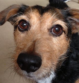 _spykids_'s profile picture. 