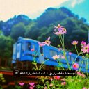 * صدقه جاريه * (@23333wwww) Twitter