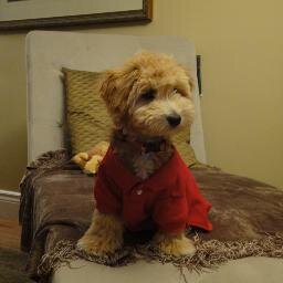 Nacho “Fresh Biscuits” Sanchez.  
I am a Furry Beast.
Respekt ...