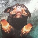 Travis Burgess - @Drockcity96 - Twitter