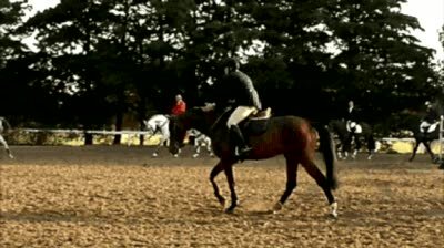 Estudiante en arquitectura. Mi medicina son los caballos. Amazona. . Sacando la sonrisa de la gente. Pensando en ella.