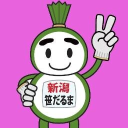 笹だるま 宝くじが当たった 凄く喜んで 飛び跳ねて お札で出来たベッドに寝た 昨日 こんな夢をみました ガックシ D 今夜だけきっと悲しいの 明日になれば忘れられるのに 笹だるま 年末ジャンボ 宝くじ 夢をみた