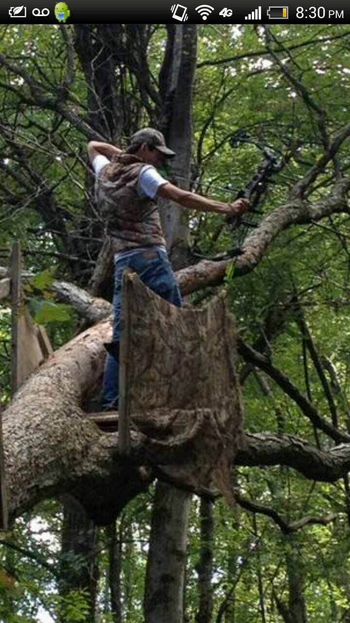 #teamhoyt #teamdodge. all i care about is smacking deer with my hoyt and rages.