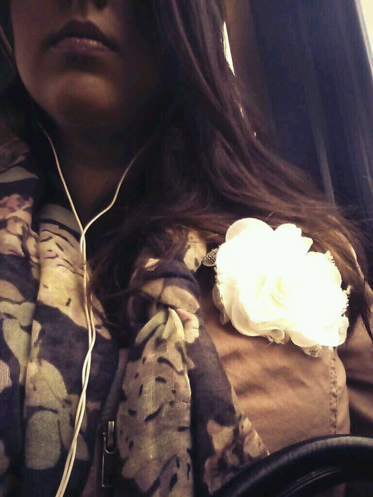 rafaellefiset's profile picture. Peter Pan qui aime les légumes.