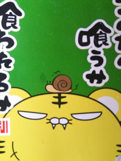 もふもふと侘び寂びをモットーにしようと思うのだ