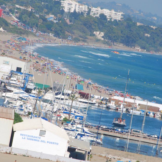 ansacero's profile picture. 