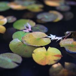 oppayyaa's profile picture. 1.질투하지마라
2.먼저 배반하지마라
3.협력이든 배반이든 그대로 되갚아라
4.너무 영악하게 굴지마라