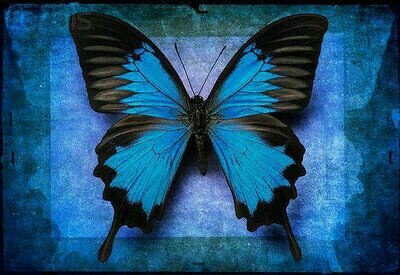 BCel2's profile picture. 