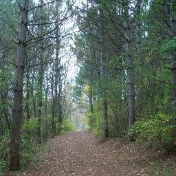 TandDsMOM's profile picture. 