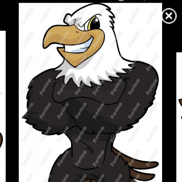 Stoneman Douglas High School Spirit Club. If you can't see, stand up!!!