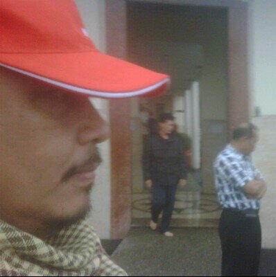 Pecinta kumis