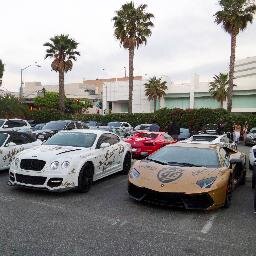 PetrolGeek's profile picture. A car geek that wastes brain power on car knowledge rather than useful things