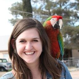 University of Arizona, Special Education Major, interested in Occupational Therapy.