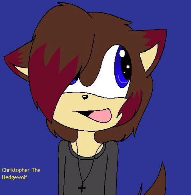 Hi! My name's Christopher or Chris, whichever you want to call me. My Mom: @PiercedWolfy along with my Dad: @HedgieFun. Twin/Sis: @ThatFluffyGirly