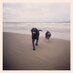 Mario Burstein (@marioburstein) Twitter profile photo
