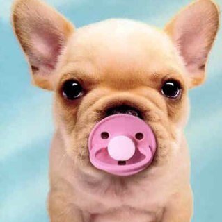 Se publicaran fotos, Mmds, Chistes, Frases, Etc, para echar desmadre & se publicaran las fotos de aquellos que RT mas rapido...