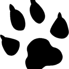 Wolf is a semi-realistic, intermediate role-playing game focused on three principles: simple, casual, fun.