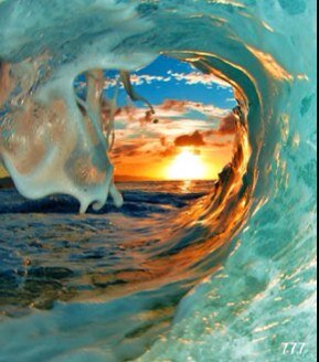 SevenDelta's profile picture. 